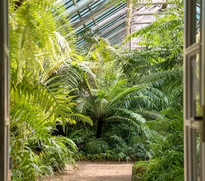 Eingang zum Gewächshaus im Botanischen Garten, umgeben von üppigem Grün und blühenden Pflanzen.