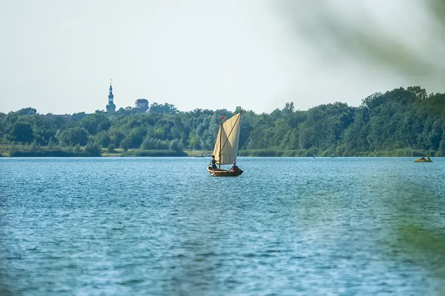 Segelboot von ALL-on-SEA Leipzig auf einem ruhigen See mit bewaldetem Ufer im Hintergrund, Turm und Gebäude am Horizont.